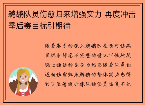 鹈鹕队员伤愈归来增强实力 再度冲击季后赛目标引期待